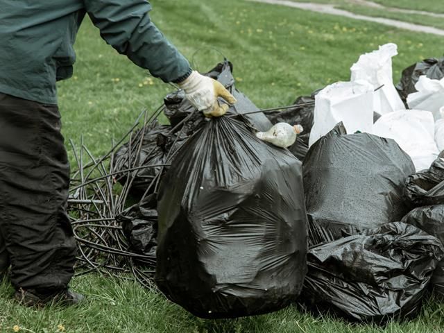 images/garden-clearance/slider/garden-waste-removal (11)-kireth-ai.jpeg